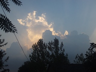 PHOT1115