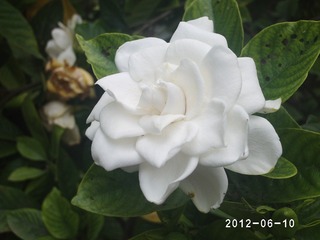 PHOT0494