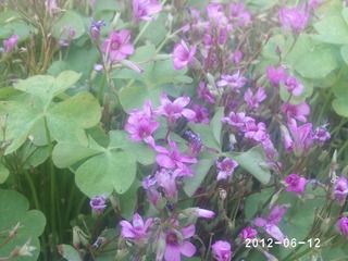 PHOT0618