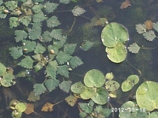 PHOT0349