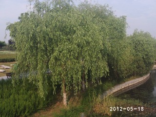 PHOT0346