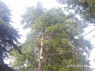 PHOT0616