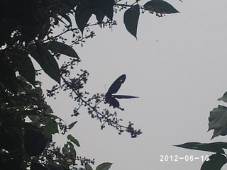 PHOT0483