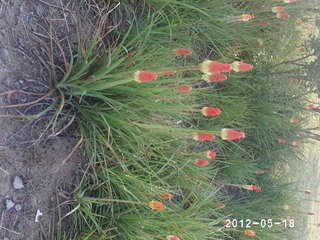 PHOT0364