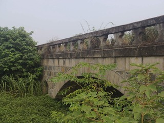 PHOT0705