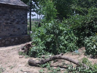PHOT0441