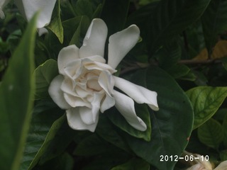 PHOT0473