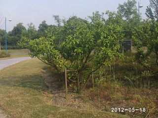 PHOT0365
