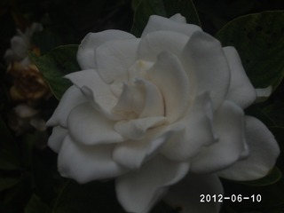 PHOT0471