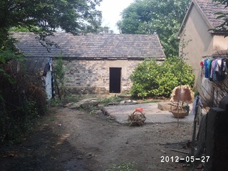 PHOT0377