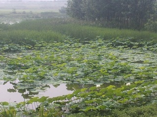 PHOT0727