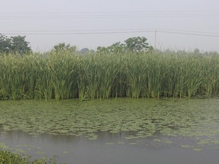 PHOT0711