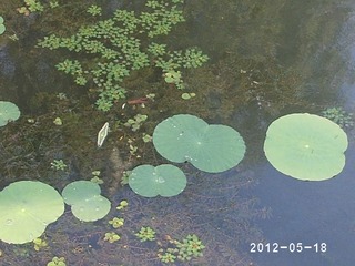 PHOT0359