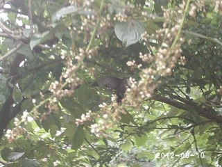 PHOT0480