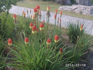 PHOT0363
