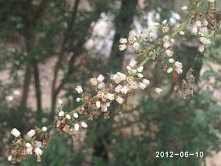 PHOT0486