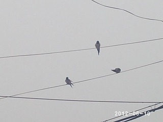 PHOT0519
