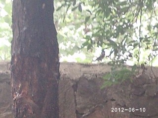 PHOT0478