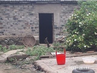 PHOT0525