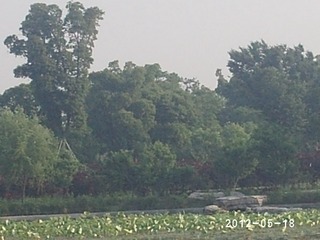 PHOT0351