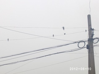 PHOT0520
