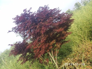 PHOT0362
