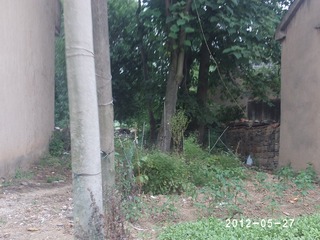 PHOT0427