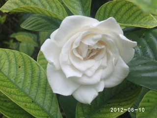 PHOT0499