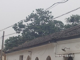 PHOT0524