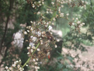 PHOT0487
