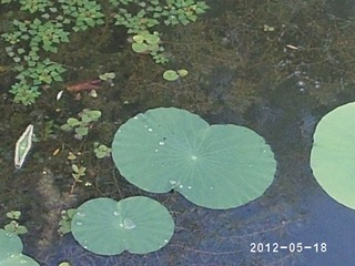 PHOT0360