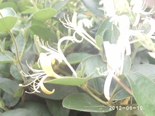 PHOT0476