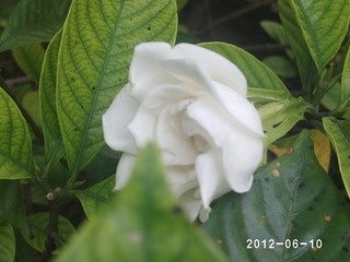 PHOT0496