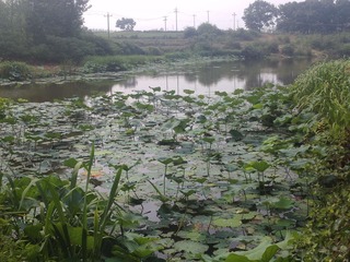PHOT0718