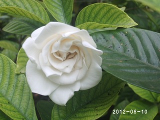 PHOT0497