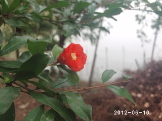 PHOT0488