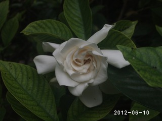 PHOT0470