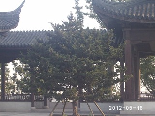 PHOT0342