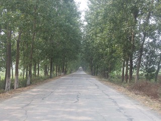 PHOT0720
