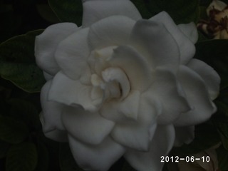 PHOT0472