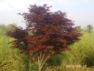 PHOT0361