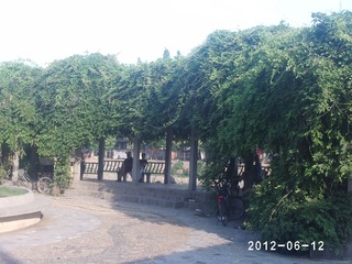 PHOT0551