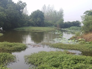 PHOT0709