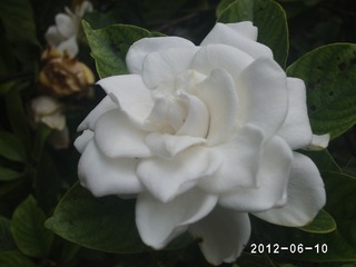 PHOT0495