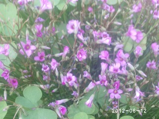 PHOT0619