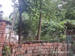 PHOT0443