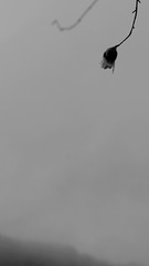 IMG_20170402_175610