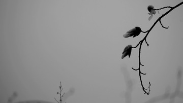 IMG_20170402_175203