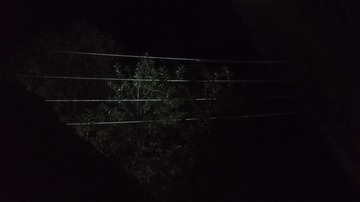 1010621