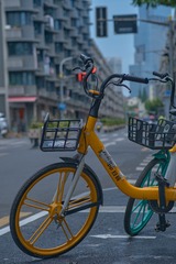 D1BDB060-8118-403D-A139-8DE504998577/L0/001